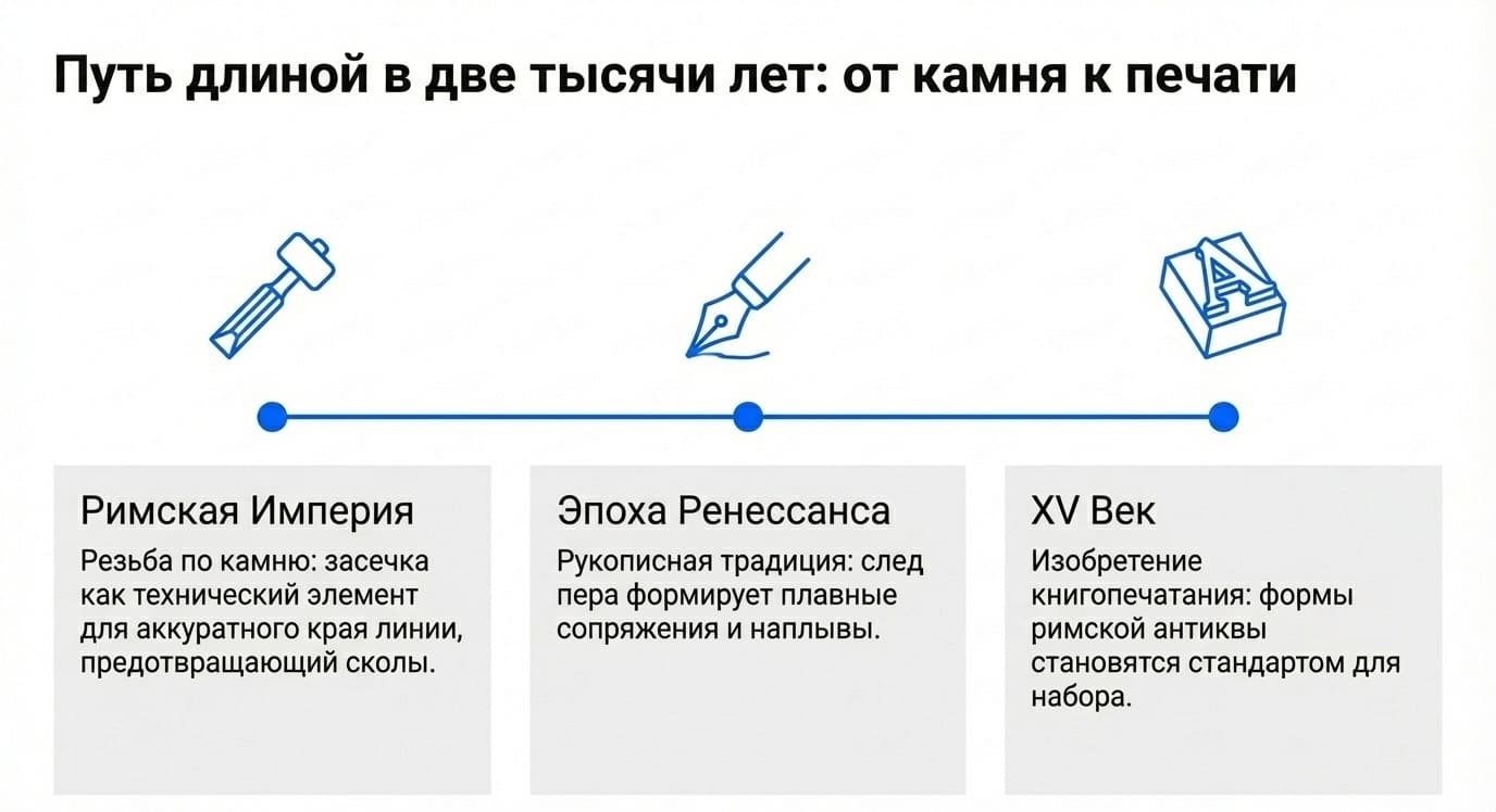 Засечка в типографии: что это, виды и роль в шрифтах