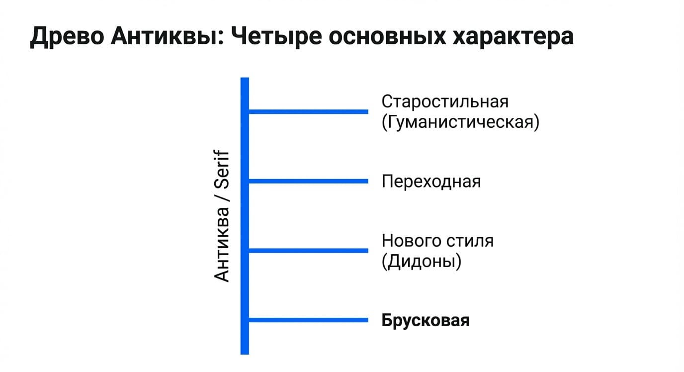 Засечка в типографии: что это, виды и роль в шрифтах