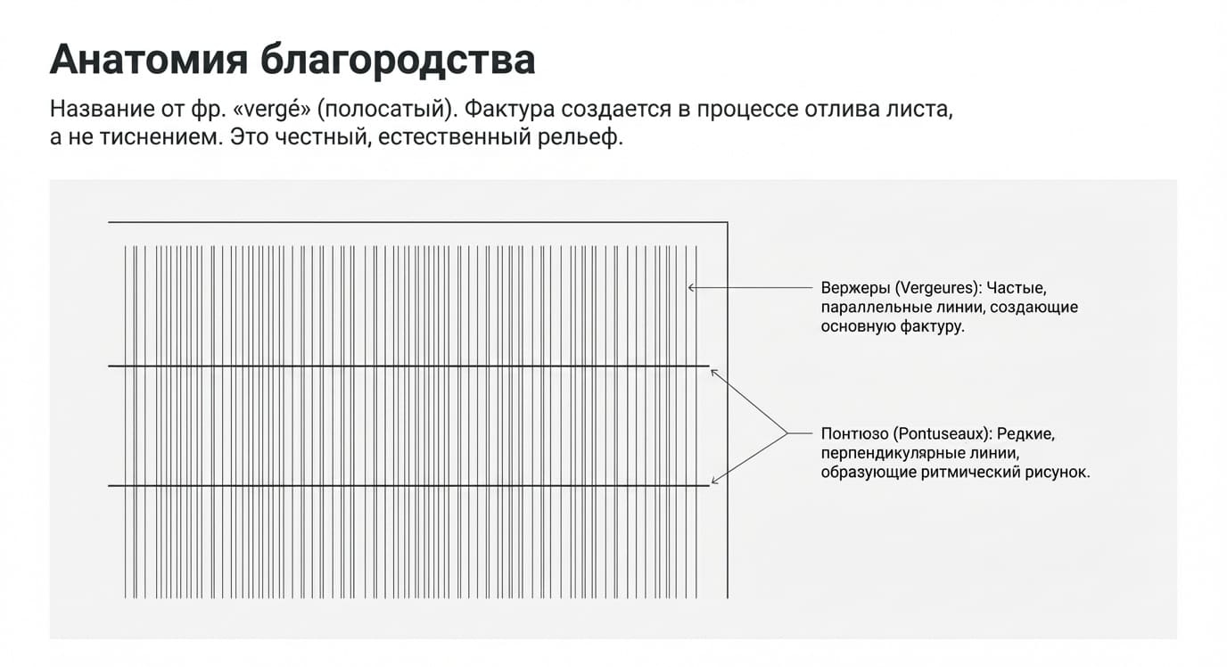 Верже: типы, преимущества и применение в типографии